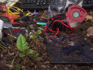 Discarded electronic devices pollute the environment 