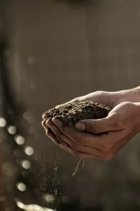 Close-up of a person’s hand holding a mound of soil
